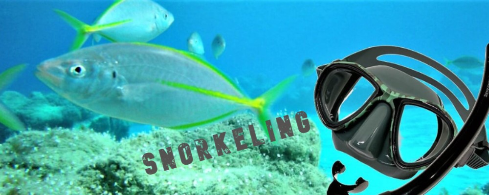 EP FISHING AND DIVING